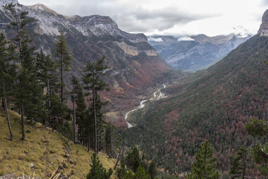 Huesca - parque nacional de Ordesa y Monte Perdido - valle de Ordesa 115 - faja Canarellos.jpg